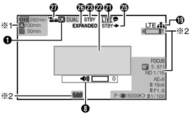 GY-LS300 CamDisplay0